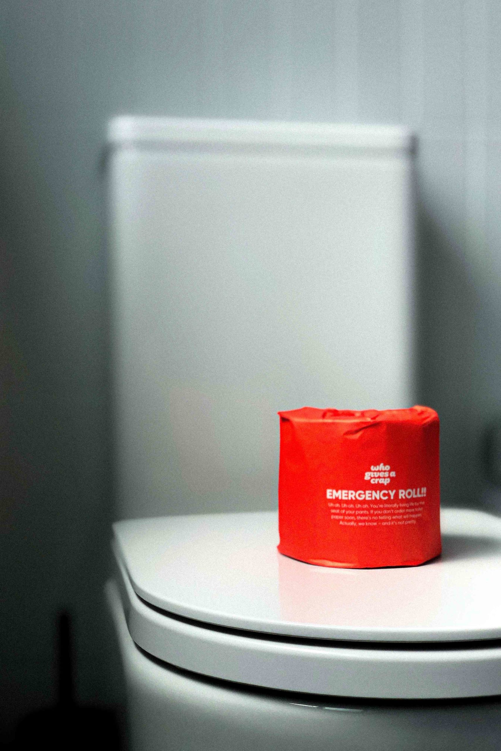 How Much Does A Bidet Cost? 3 Cost Determining Factors