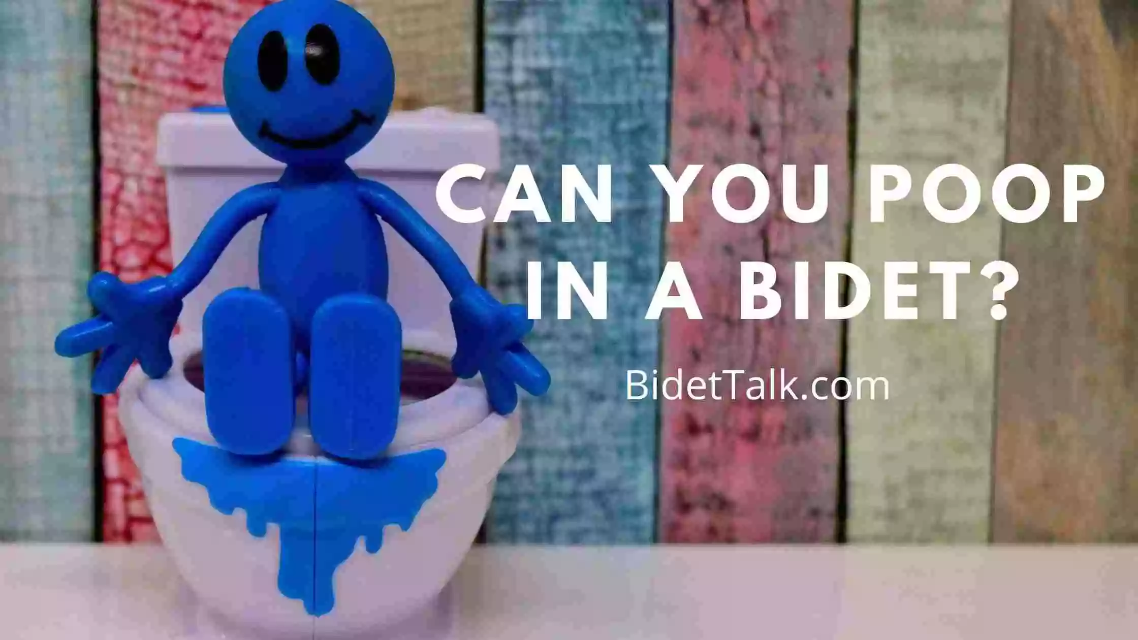 Can You Poop In A Bidet? Yes, But Only If Its The Right One