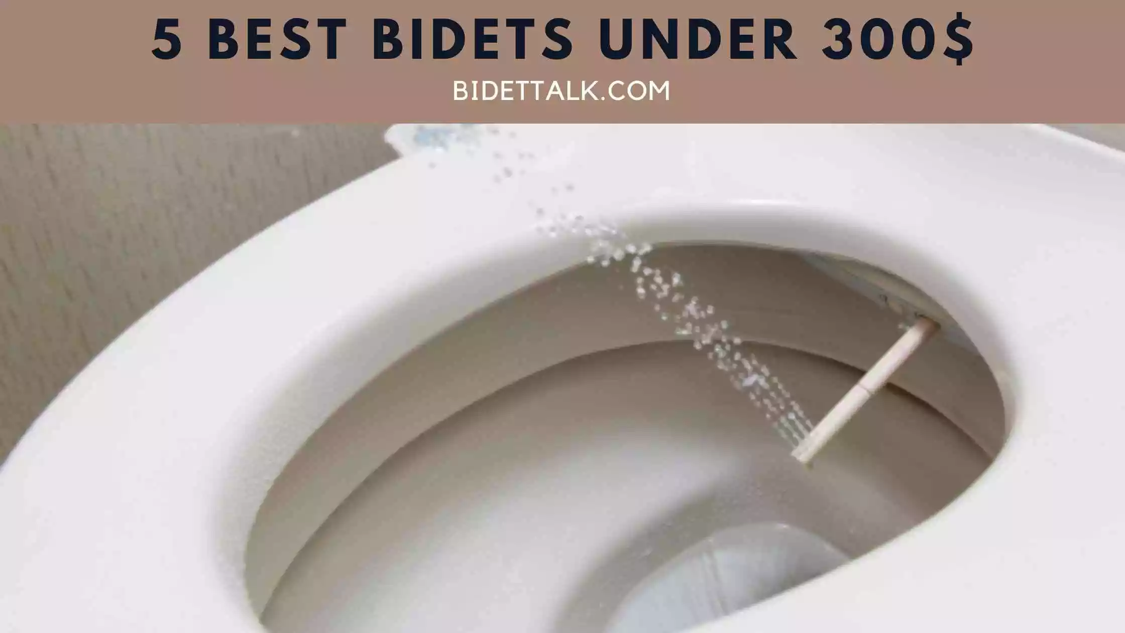 5 Best Bidets Under 300 [2024] Expert's