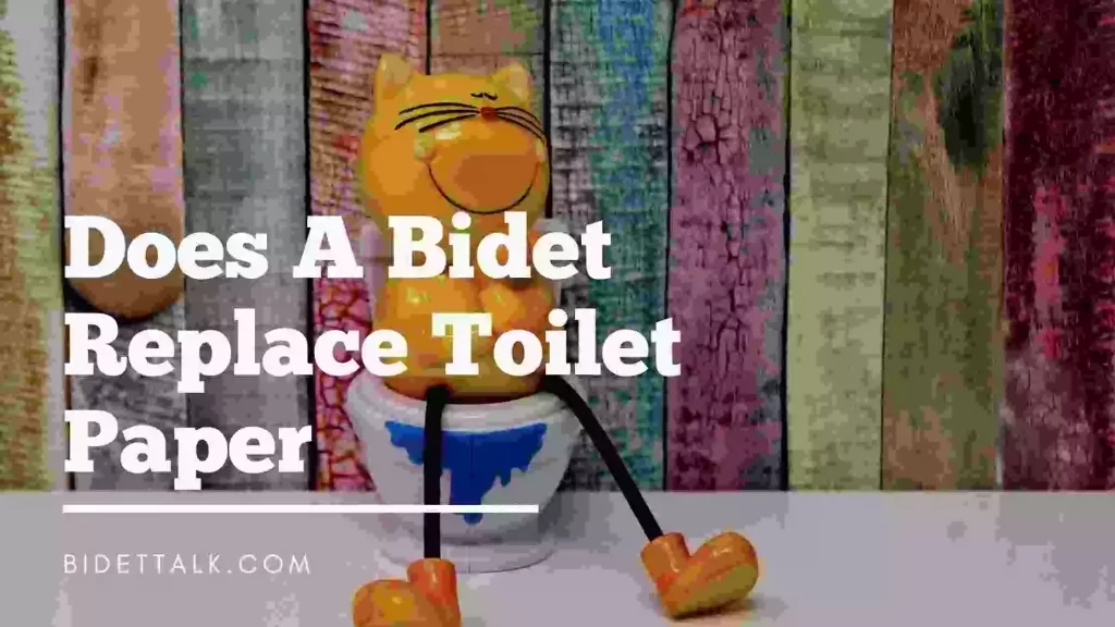 Does A Bidet Replace Toilet Paper Sharing My Experience