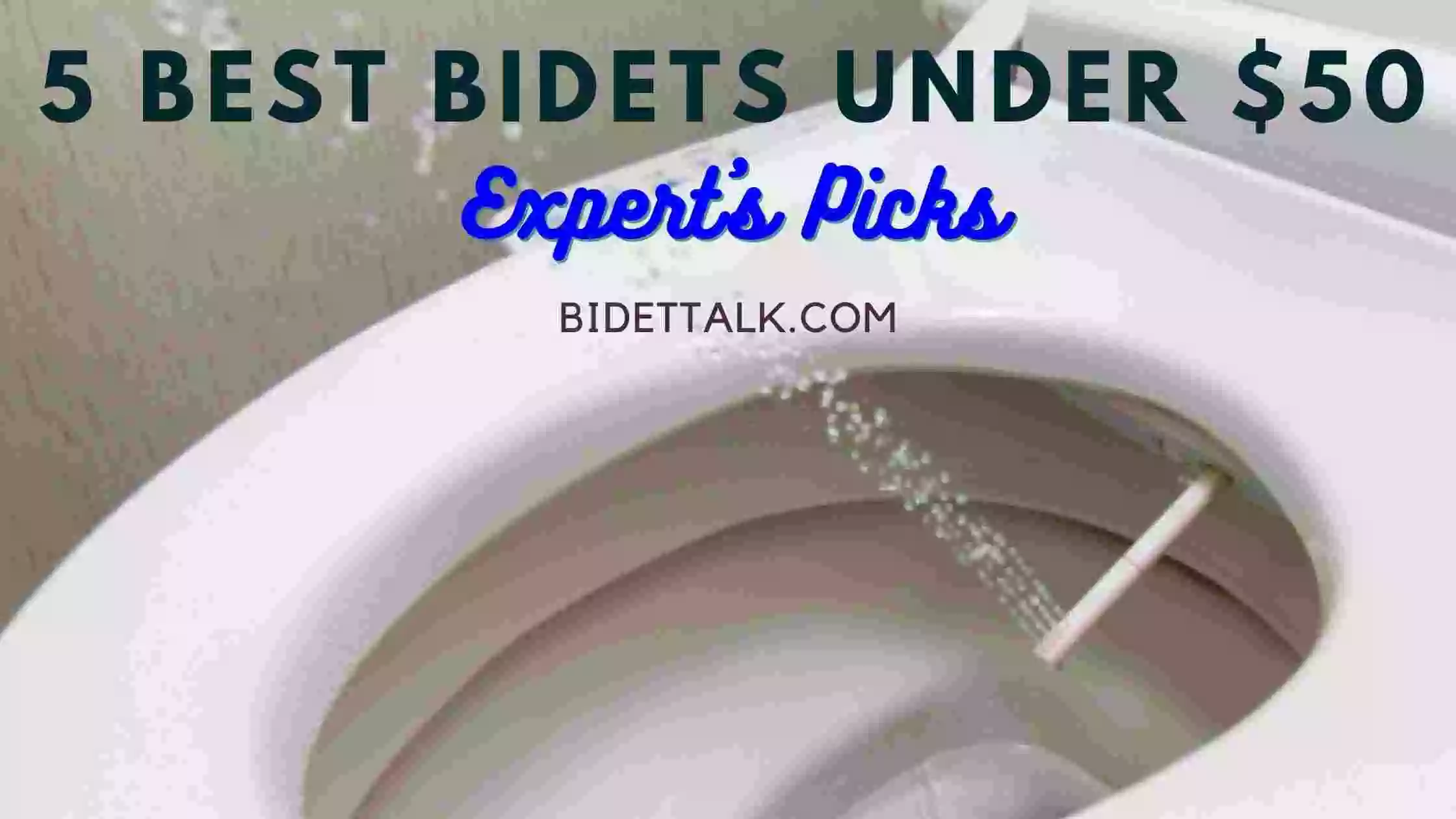 Best Bidets Under 50 Expert's Top Picks! Bidet Talk