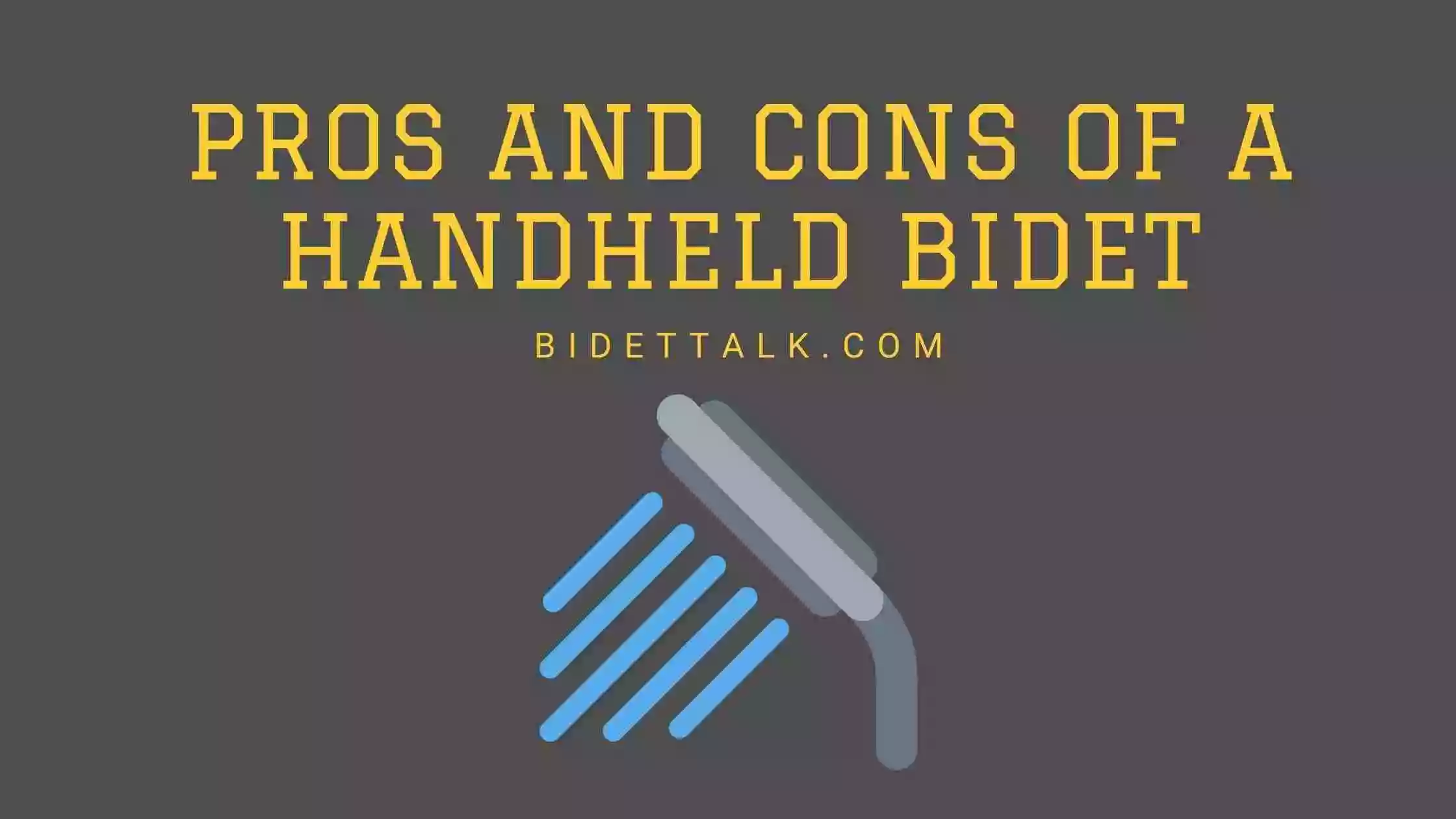 18 Pros And Cons Of A Handheld Bidet My Personal Experience